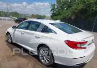 2019 Honda Accord photo