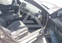 2019 Honda Accord photo