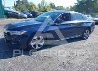 2019 Honda Accord photo