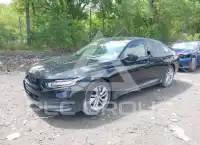 2019 Honda Accord фото
