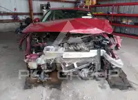 2019 Honda Accord photo