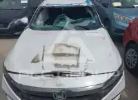 2019 Honda Accord photo