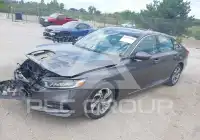 2019 Honda Accord photo