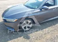 2019 Honda Accord photo