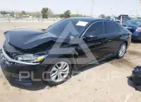 2019 Honda Accord photo