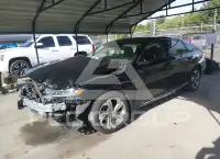 2019 Honda Accord фото