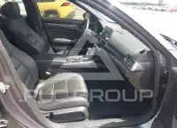 2019 Honda Accord photo