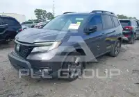 2019 Honda PASSPORT photo