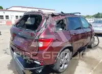 2019 Honda PASSPORT photo