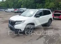2019 Honda PASSPORT photo