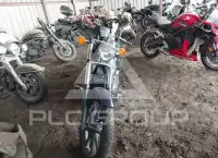 2019 Honda VT1300 фото