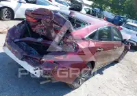 2019 Honda INSIGHT photo