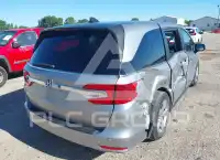 2019 Honda ODYSSEY фото