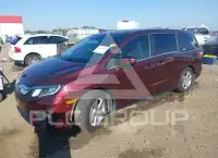 2019 Honda ODYSSEY фото