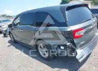 2019 Honda ODYSSEY фото