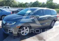 2019 Honda ODYSSEY фото