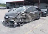 2019 Honda ODYSSEY photo