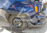 2019 Jeep Renegade фото