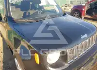 2019 Jeep Renegade фото