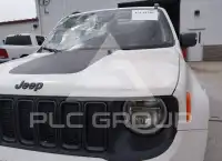 2019 Jeep Renegade фото