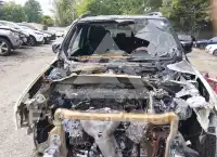 2019 Jeep Renegade фото