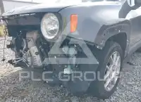 2019 Jeep Renegade фото
