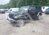 2019 Jeep WRANGLER фото