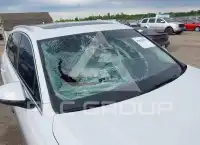 2019 Audi Q7 фото