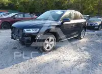 2019 Audi Q5 фото