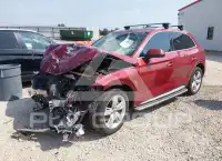 2019 Audi Q5 фото
