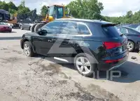 2019 Audi Q5 фото