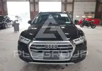 2019 Audi Q5 фото