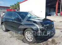 2019 Cadillac XT4 фото