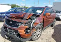 2019 Cadillac XT4 фото