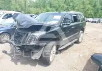 2019 Cadillac ESCALADE фото