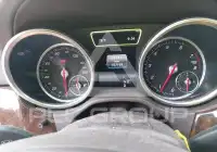 2019 Mercedes Benz Gls 450 photo