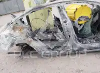 2019 Tesla Model 3 фото