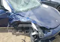 2019 Tesla Model 3 photo
