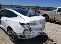 2019 Tesla Model 3 photo