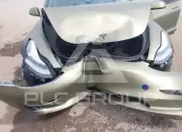 2019 Tesla Model 3 фото