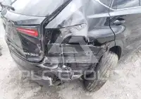 2019 Lexus NX300 фото