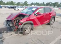 2019 Lexus NX300 фото