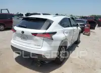 2019 Lexus NX300 photo