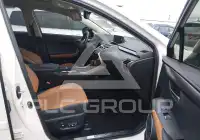 2019 Lexus NX300 фото
