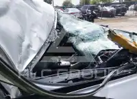 2019 Lexus NX300 фото