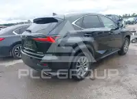 2019 Lexus NX300 фото