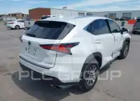 2019 Lexus NX300 фото