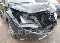 2019 Lexus NX300 фото