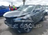 2019 Lexus NX300 фото