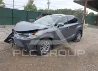 2019 Lexus NX300 photo
